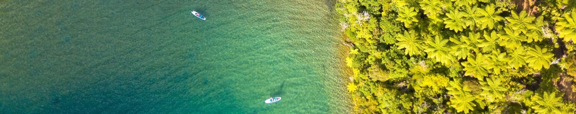 The Top of the South