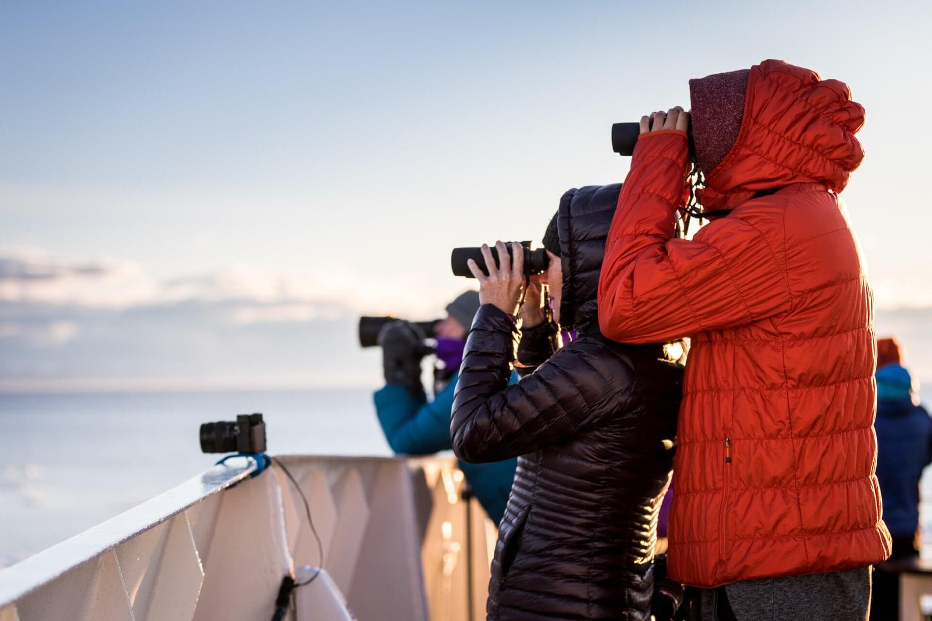 Ship gallery image 4