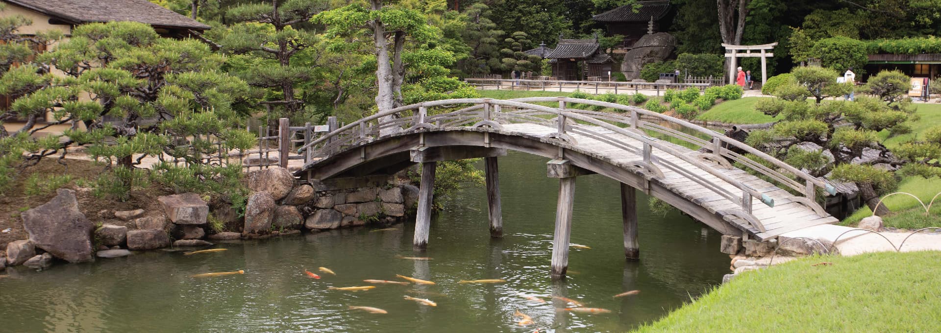 Discover the Islands of Japan